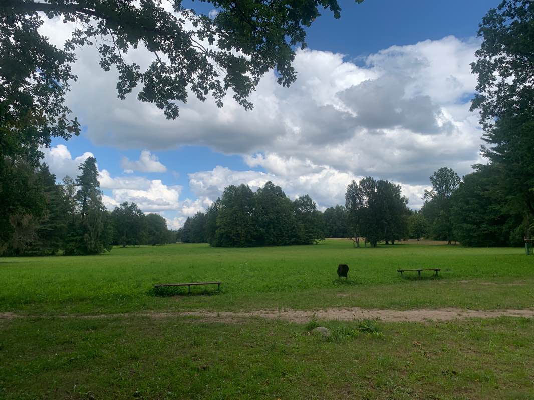 walking near me in Park Pałacowy in winter