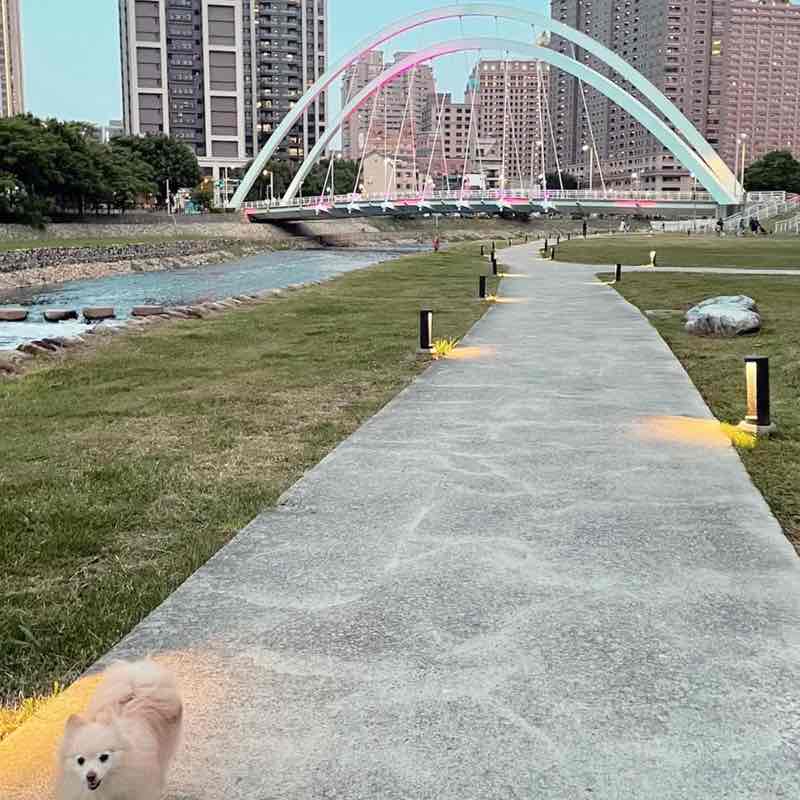 雲淡風輕的雲 post 1