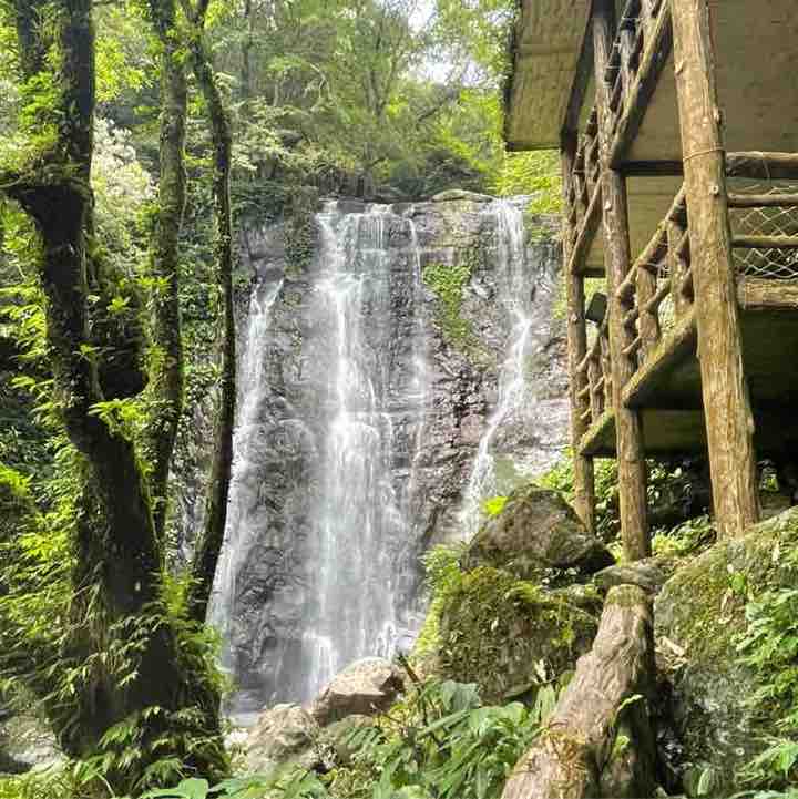 雲淡風輕的雲 post 2