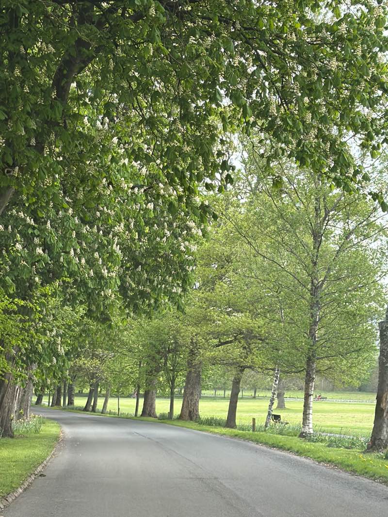 walking near me in Towneley Park in spring