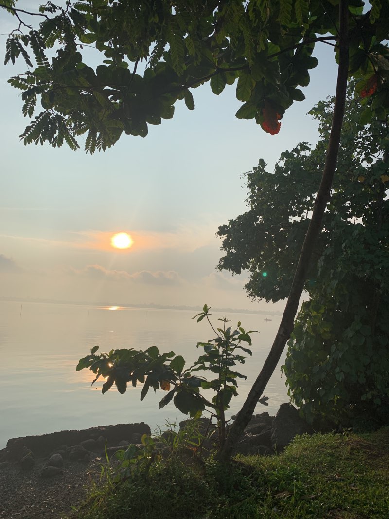 walking near me in El Reposo Memorial Park in winter