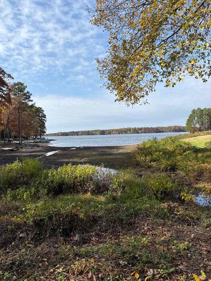 walking near me in Sunday Park in autumn