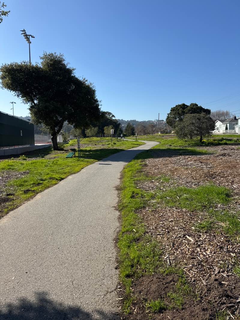 walking near me in Sports Field in winter