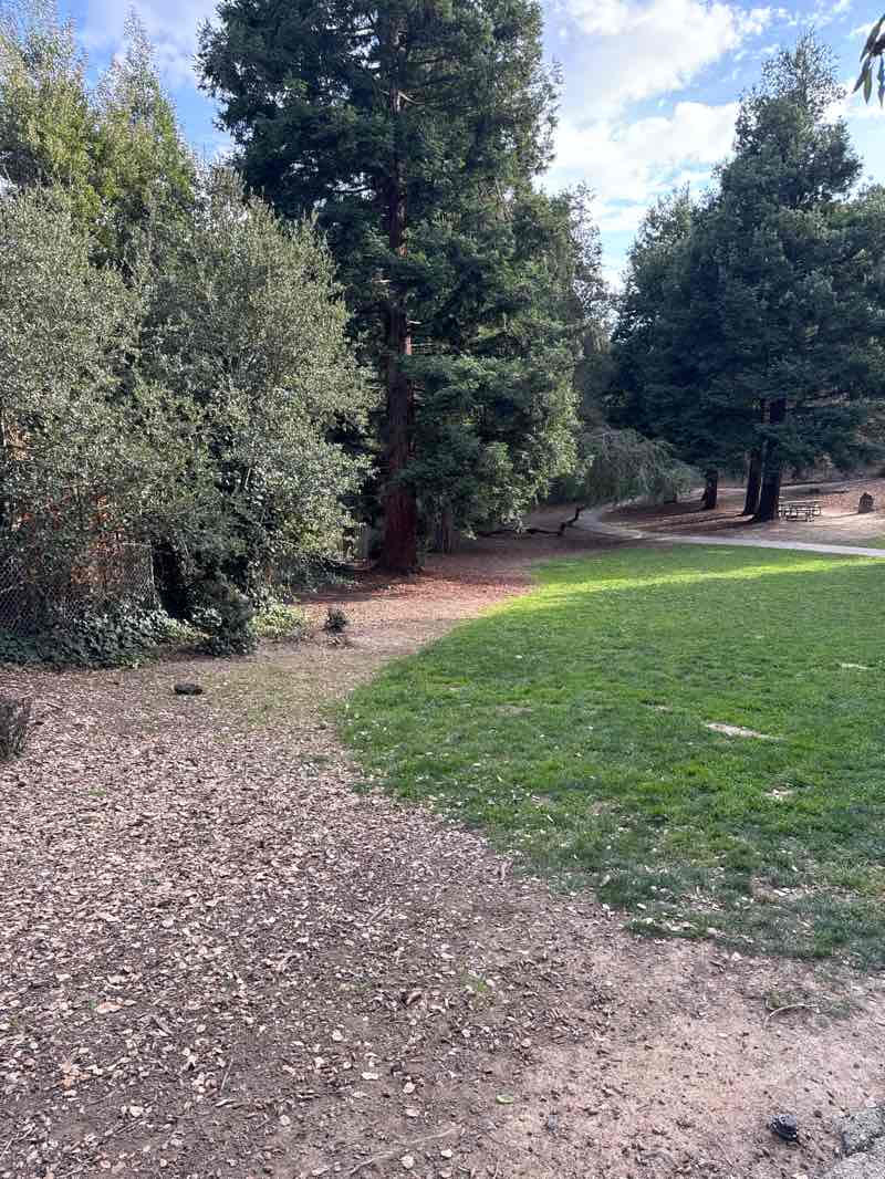 walking near me in Cipriani Park and Dog Exercise Area in winter