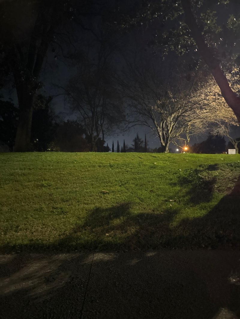 walking near me in Woodrow Park in winter