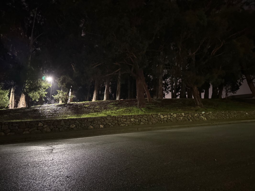 walking near me in Green Hills Park in winter