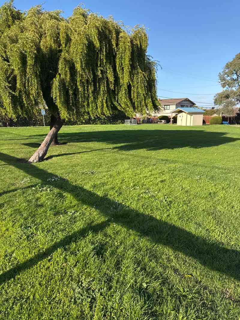 walking near me in Grundy Park in winter