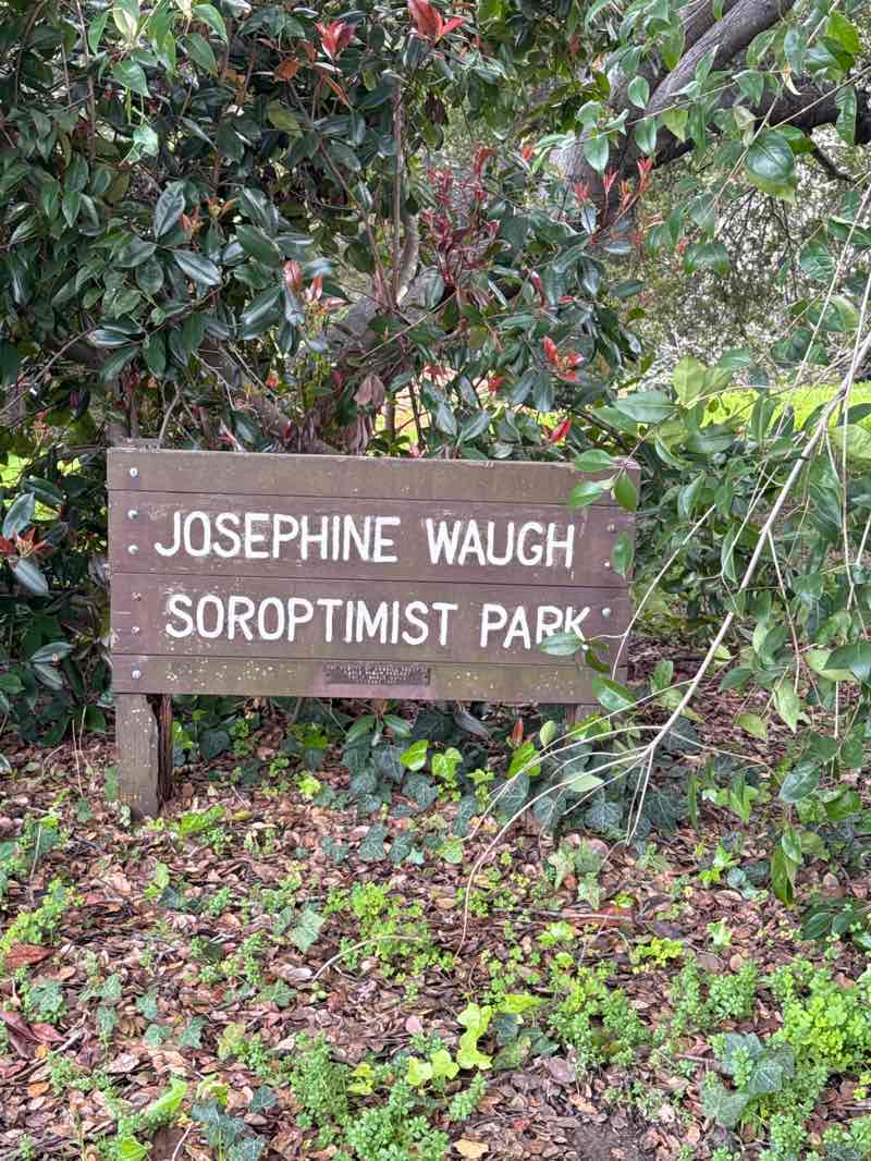 walking near me in Josephine Waugh Soroptomist Park in winter