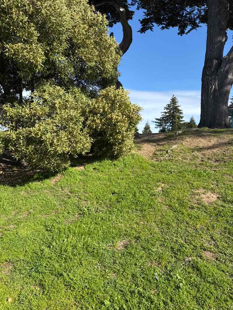 walking near me in Central Park in spring