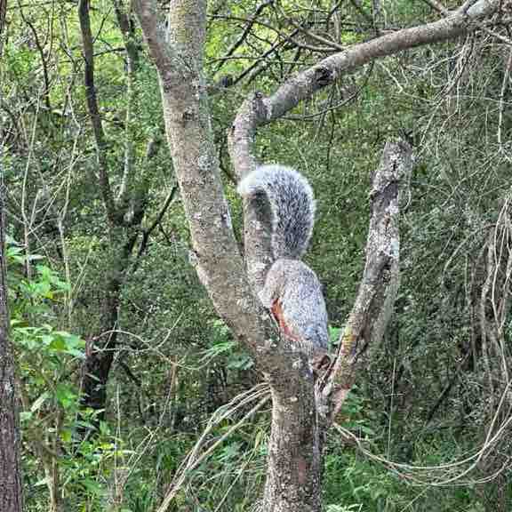 🎀🌸Claudia Kelly 🇲🇽🌸🎀 post 2