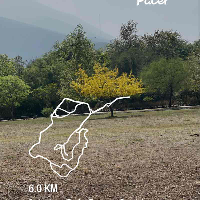 🎀🌸Claudia Kelly 🇲🇽🌸🎀 post 1