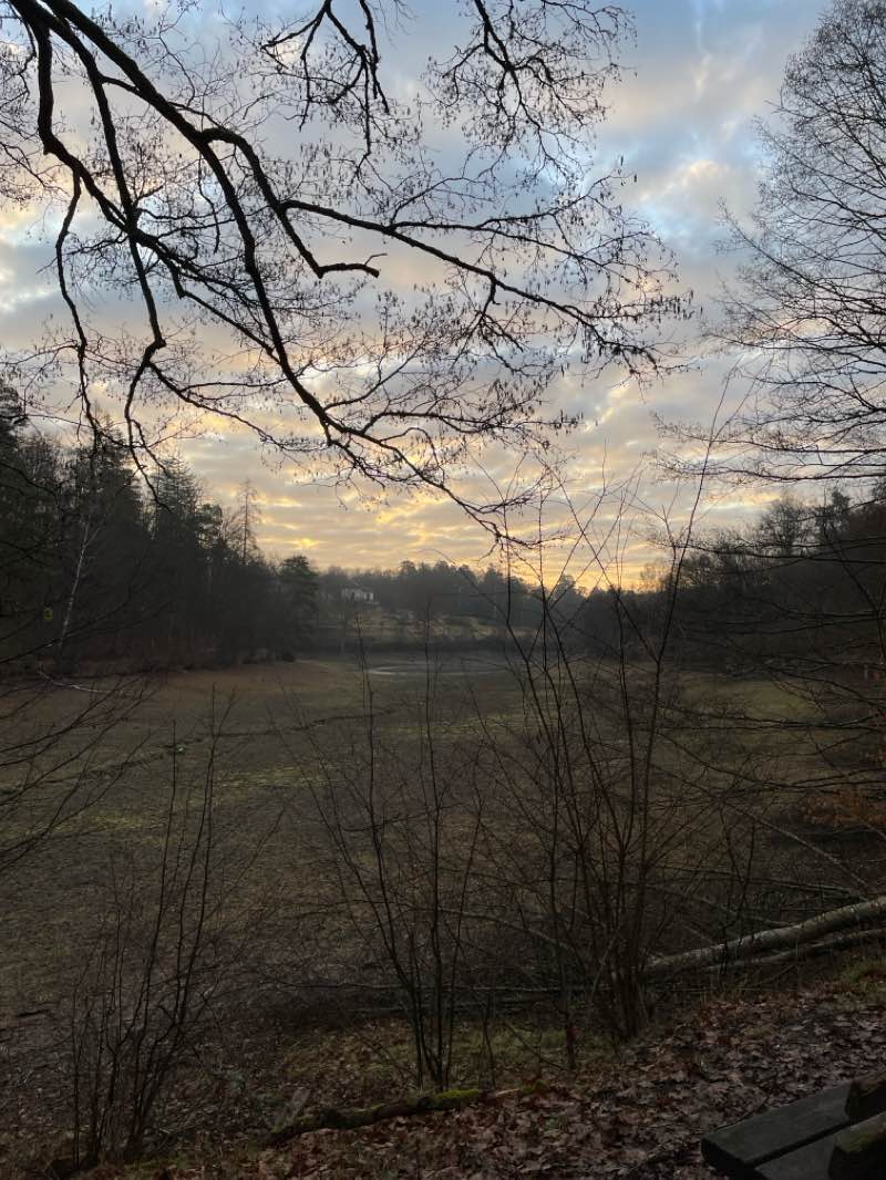 walking near me in Hirschwiese in winter