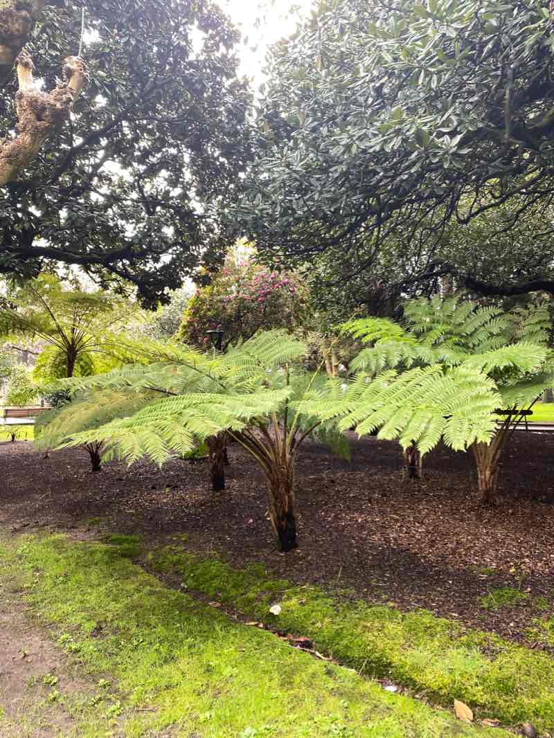walking near me in Méndez Núñez Garden in winter