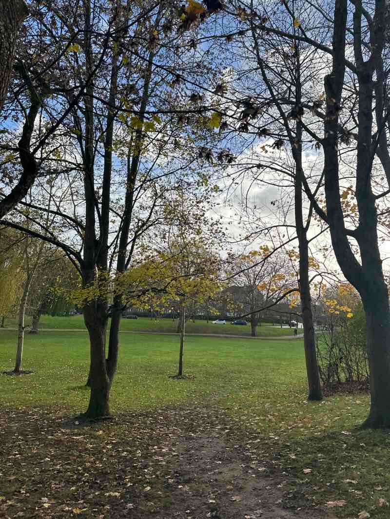 walking near me in Queen Elizabeth Park in autumn