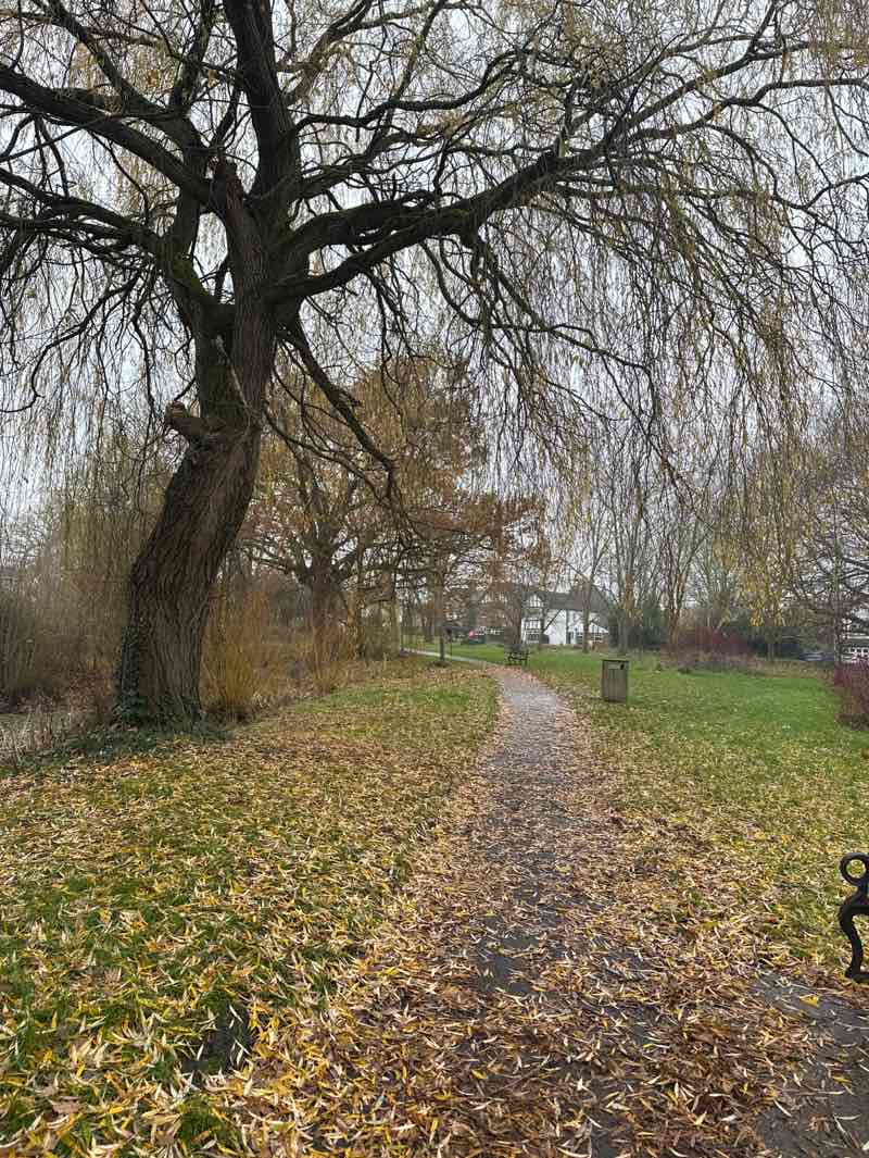 walking near me in Johnston Green in winter