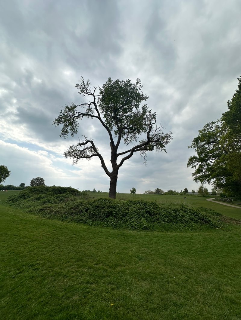 walking near me in Stoke Park in spring
