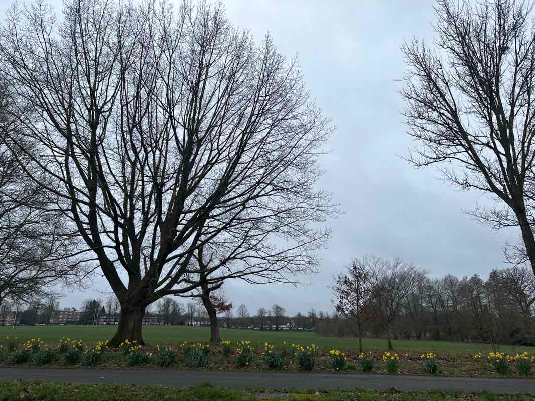 walking near me in Stoke Park in winter
