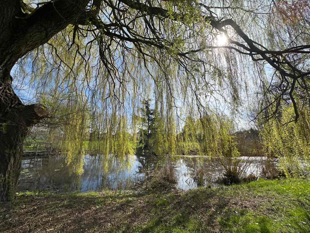 walking near me in Johnston Green in spring