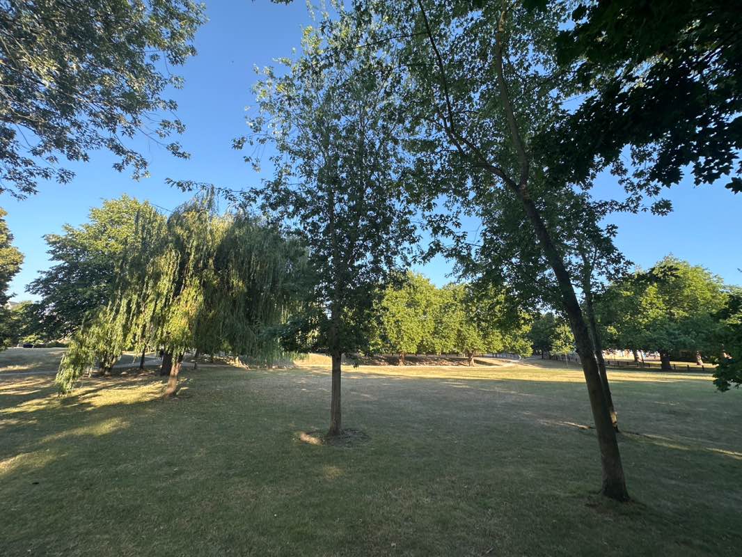 walking near me in Queen Elizabeth Park in summer