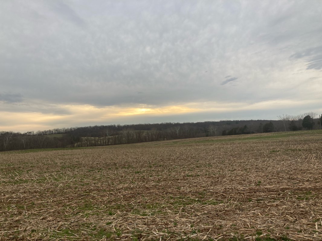 walking near me in McKee-Beshers Wildlife Management Area in winter