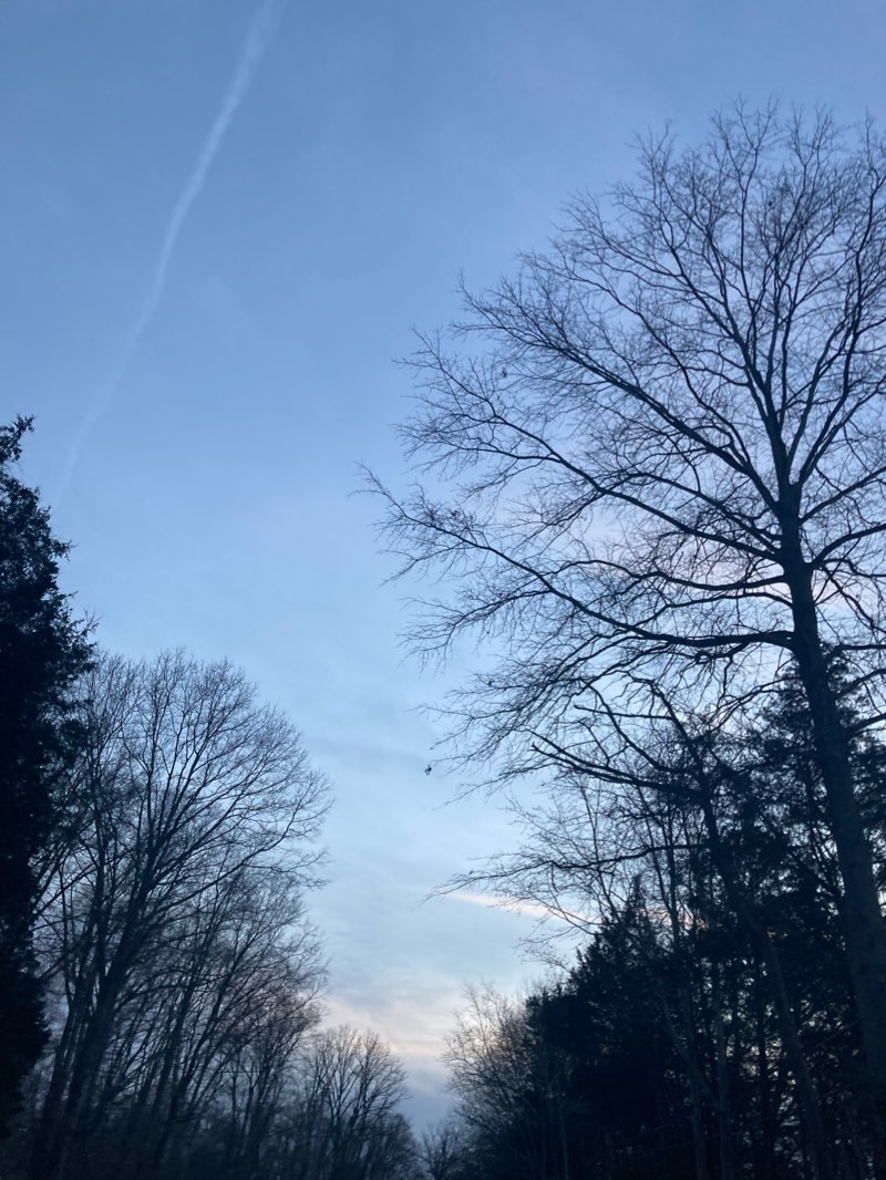 walking near me in Westerly Avenue Park in winter