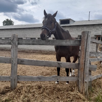 ♥️LoveSPORT♥️ taya mantos post image