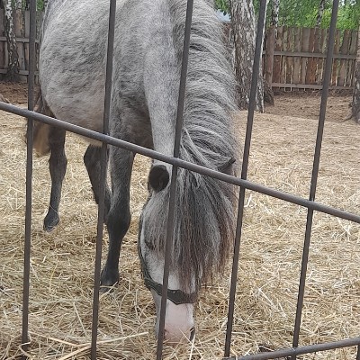 ♥️LoveSPORT♥️ taya mantos post image