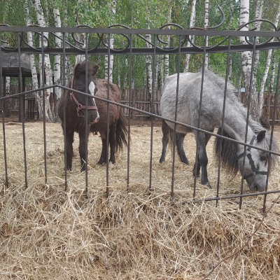 ♥️LoveSPORT♥️ taya mantos post image