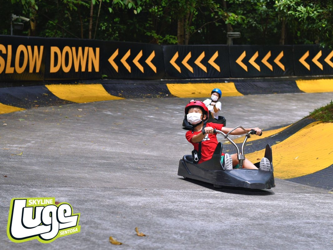 P4 Grace Jacus Gan Zhen Jie profile