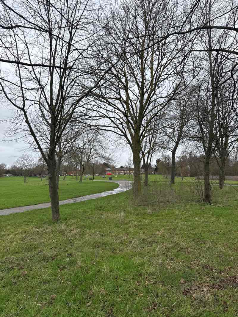 walking near me in Lime Tree Park in winter