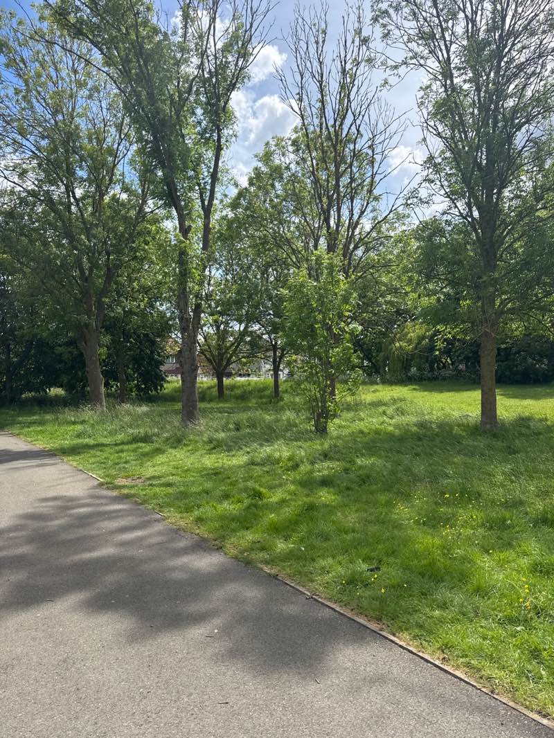 walking near me in Lime Tree Park in summer