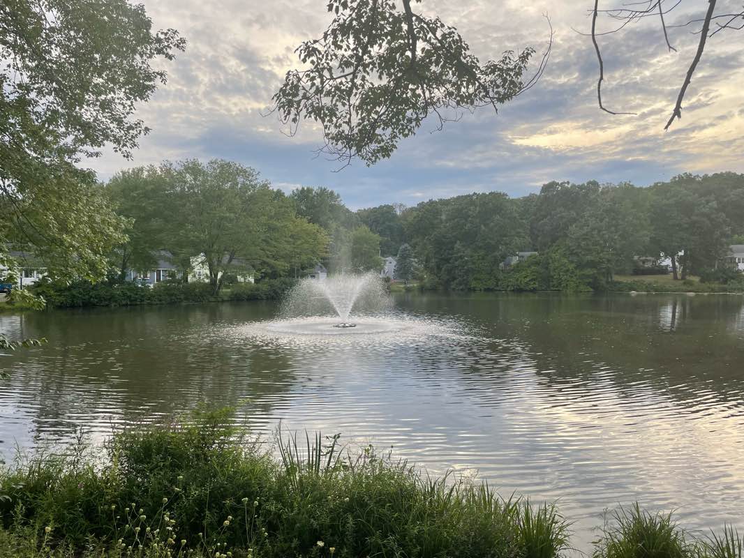 walking near me in Bouge Pond Park in winter