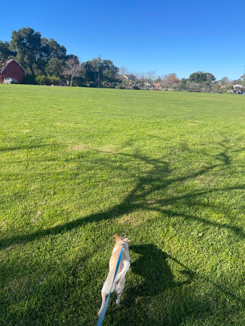 walking near me in Estero Park in spring