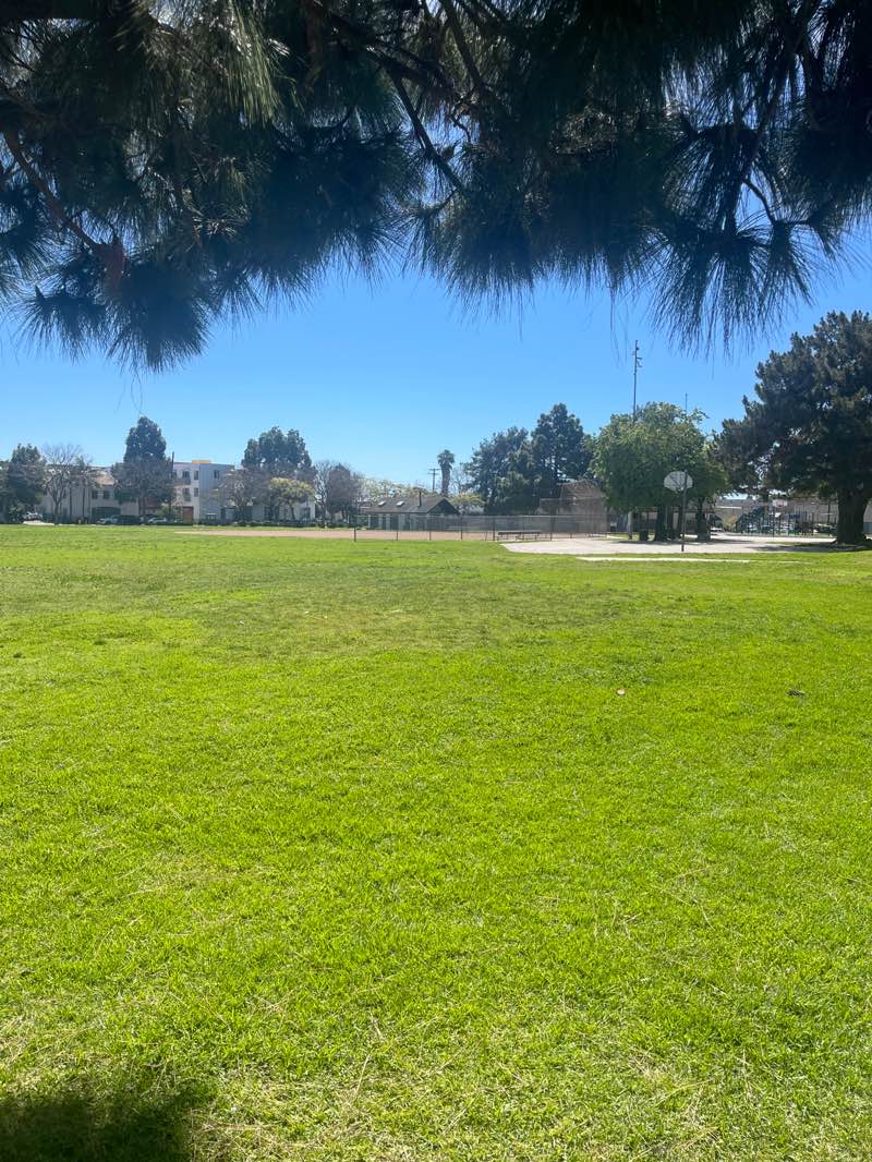 walking near me in Ortega Park in spring