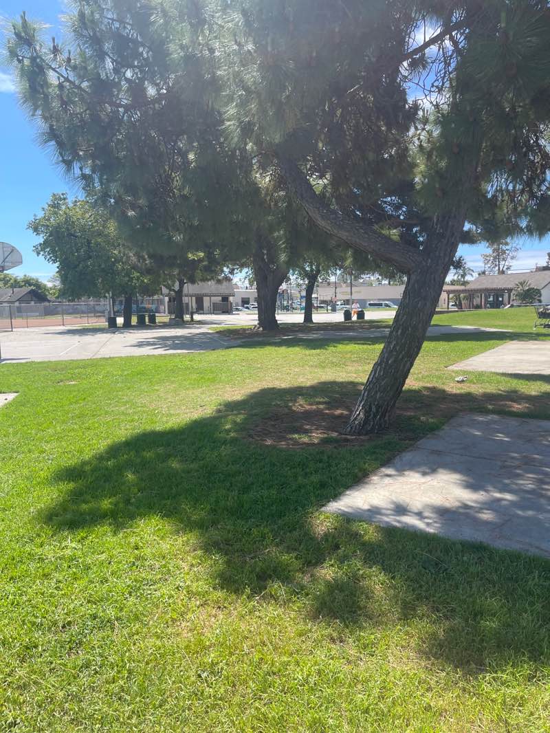 walking near me in Ortega Park in spring