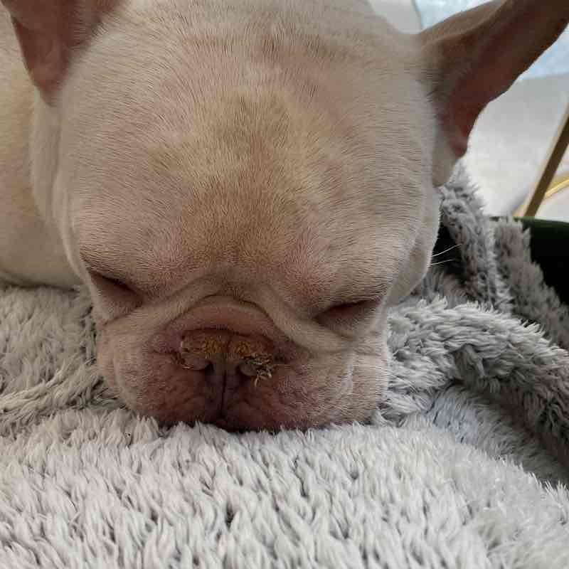 diannemartel92 post 1