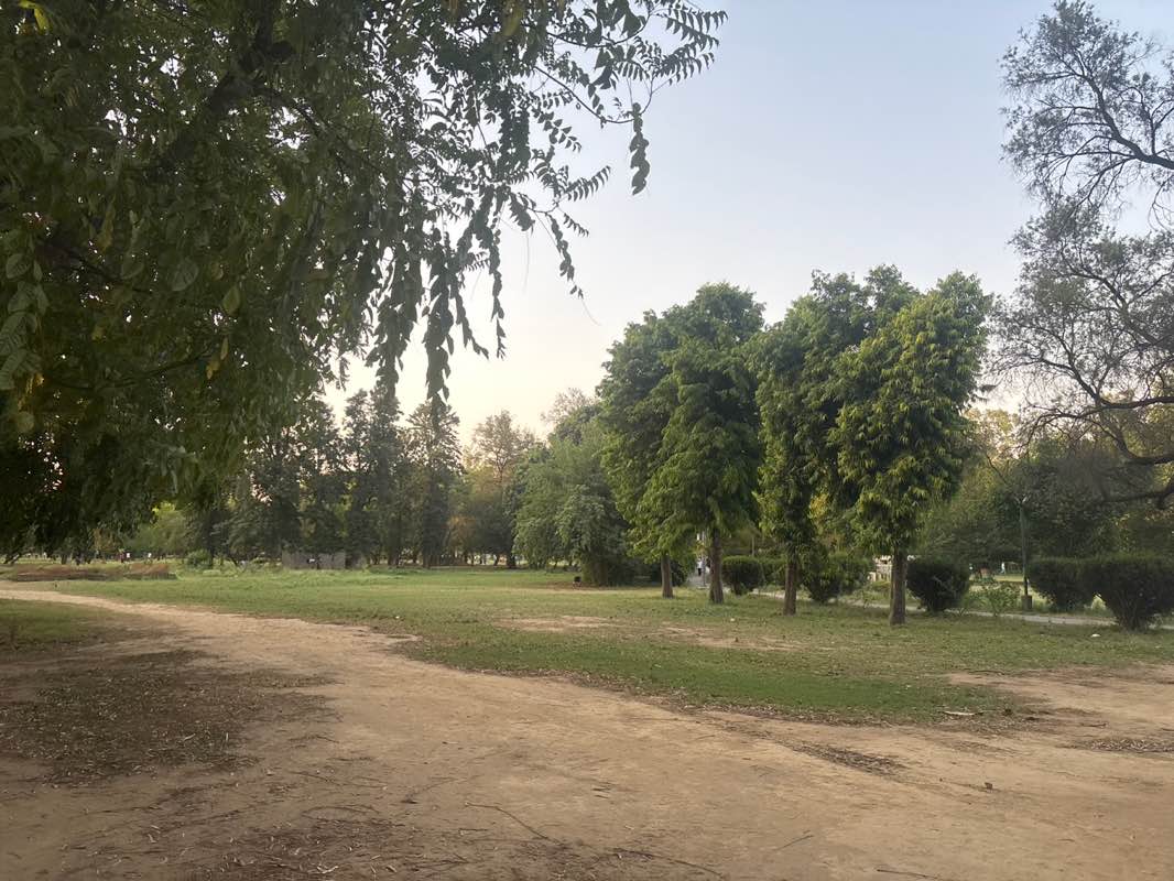 walking near me in Rose Garden in summer