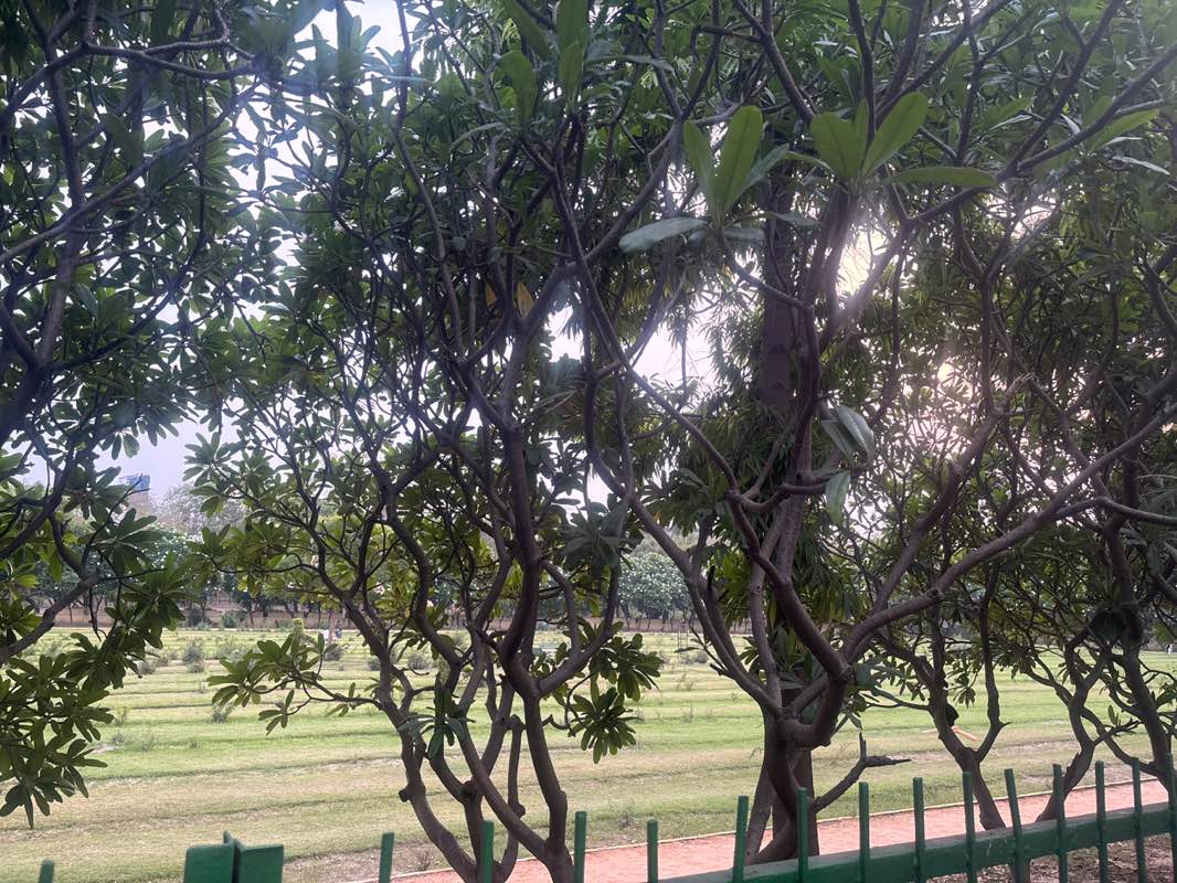 walking near me in Rose Garden in spring