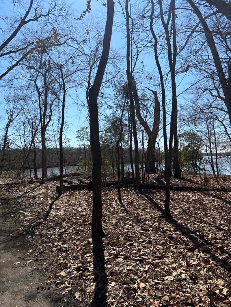 walking near me in Point of Rocks Park in winter