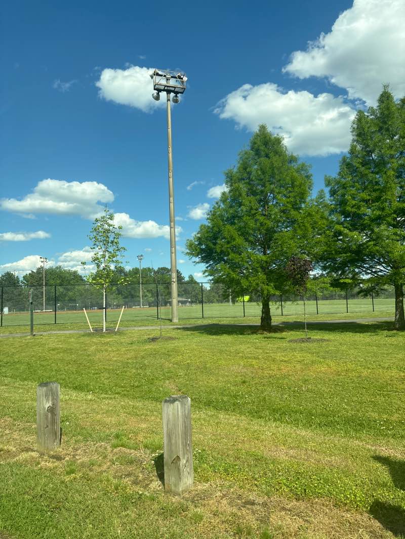 walking near me in Ettrick Park in spring