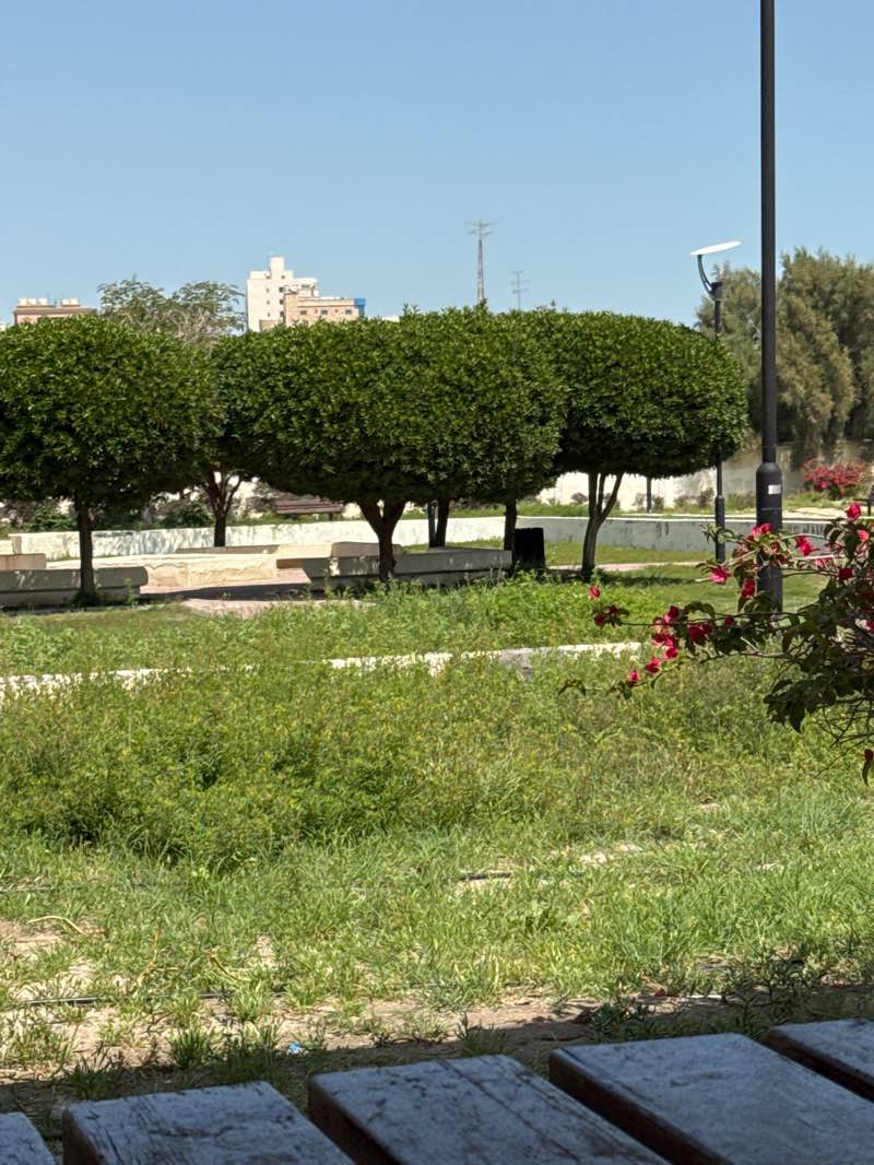 walking near me in Fahaheel Park in spring