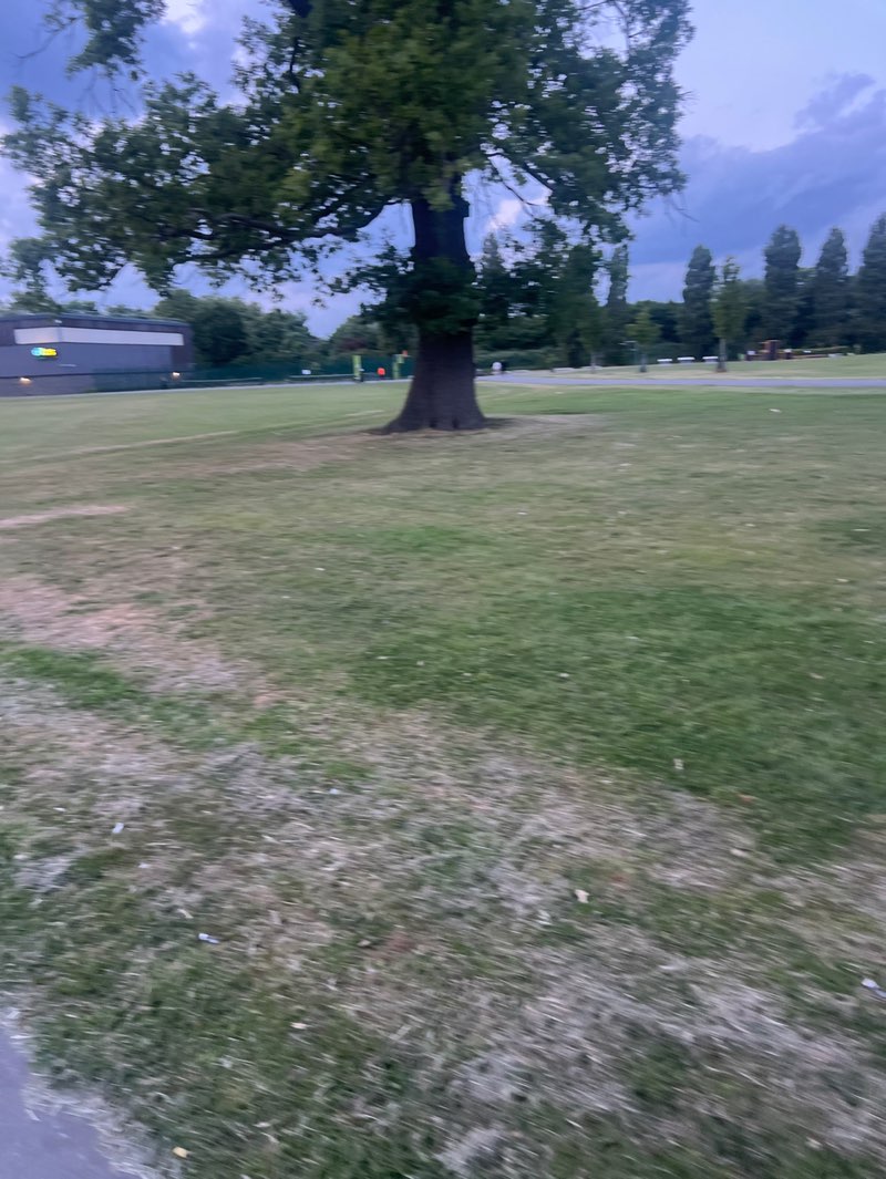 walking near me in Montrose Playing Fields in spring