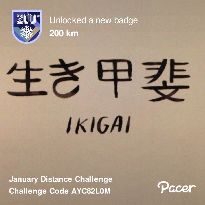 Prince Krijger post 1