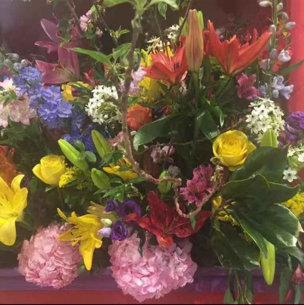 55095O-08- nj-lydia zhang