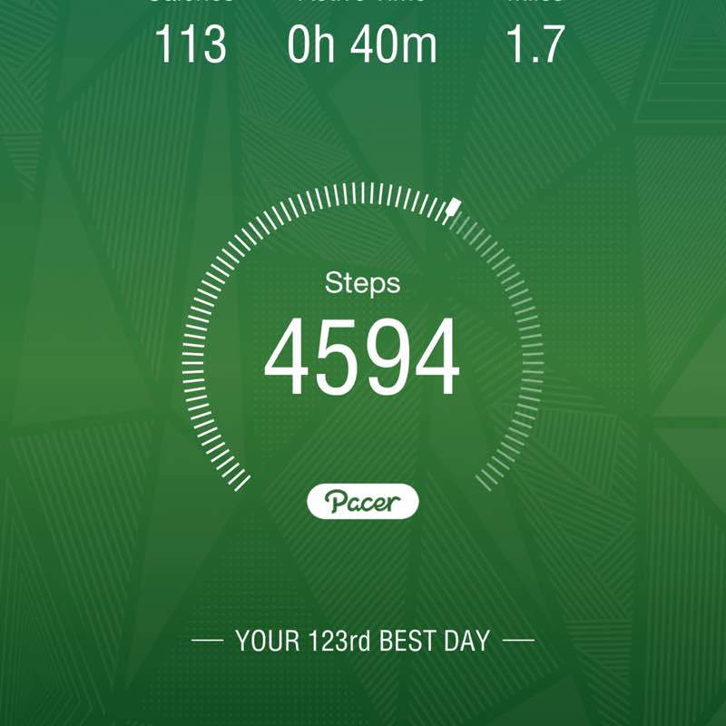 55095O-08- nj-lydia zhang post 1