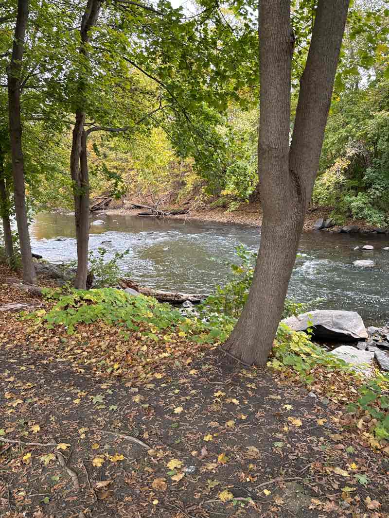 walking near me in William Stanley Park in autumn