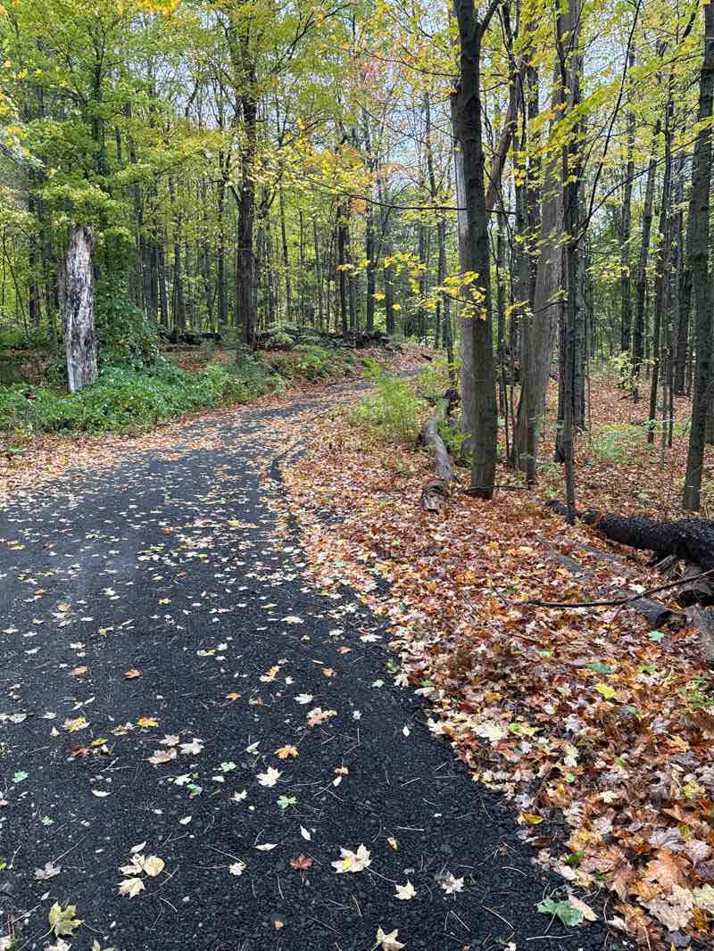 walking near me in Kennedy Park in autumn