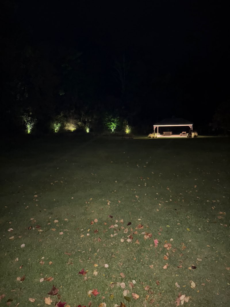 walking near me in Lilac Park in autumn