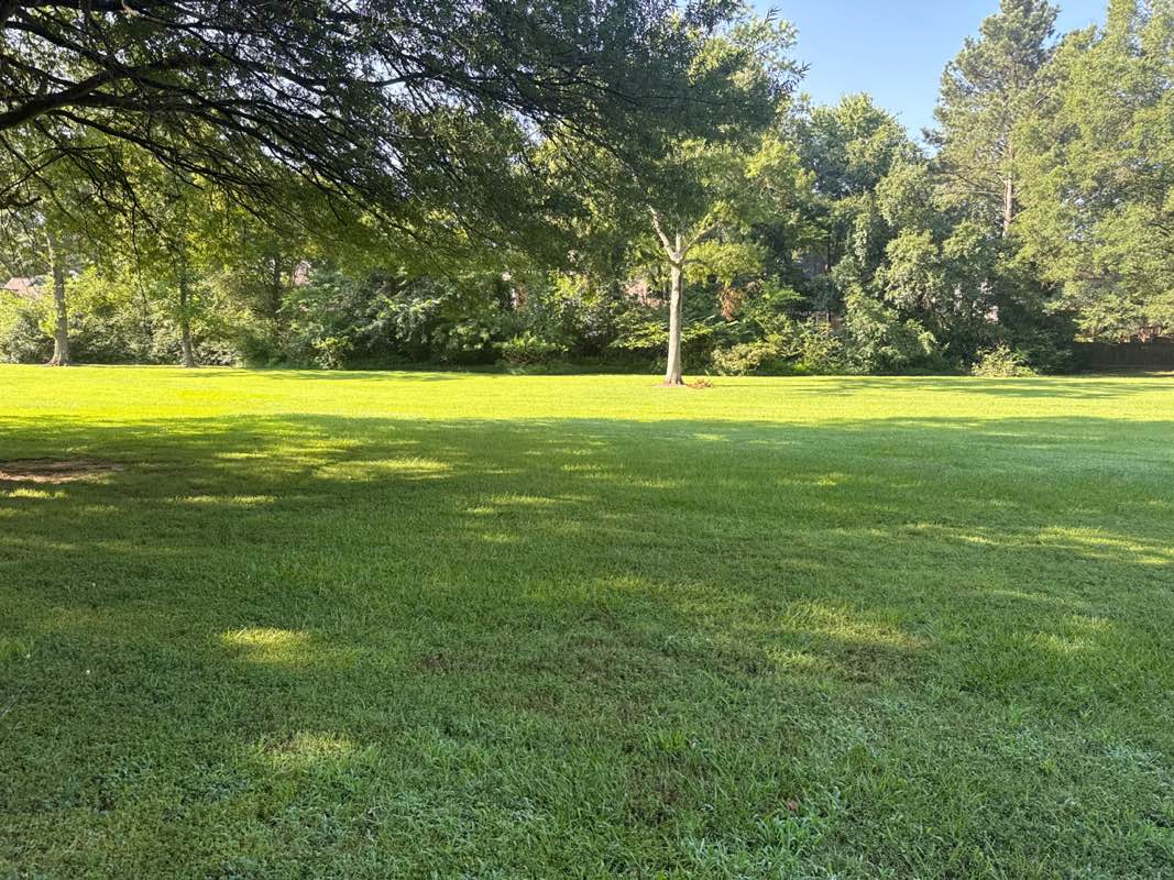 walking near me in Poplar Estates Park in autumn