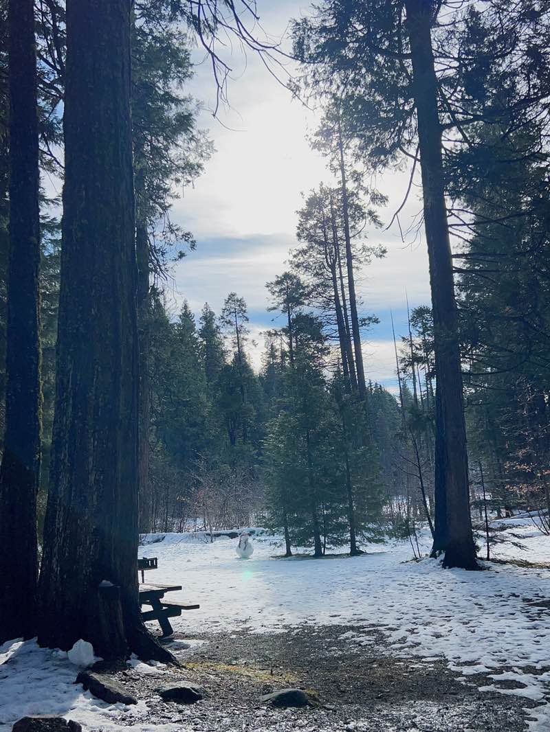 walking near me in Calaveras Big Trees State Park in winter